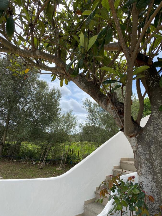 Casa Vacanza Porta Smeralda Olbia Extérieur photo