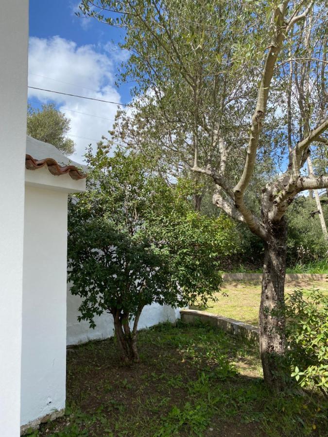 Casa Vacanza Porta Smeralda Olbia Extérieur photo