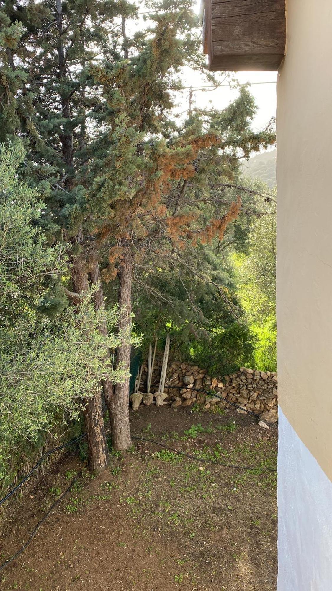 Casa Vacanza Porta Smeralda Olbia Extérieur photo